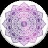 purplecomet9
